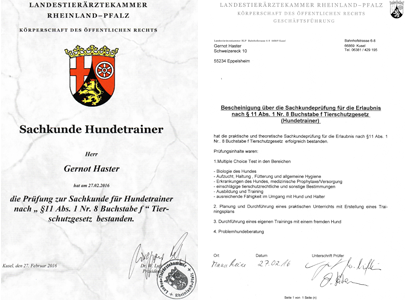 Urkunde Sachkunde Hundetrainer