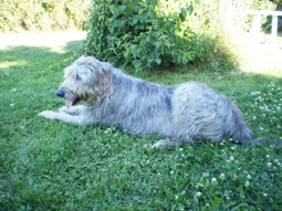 Max