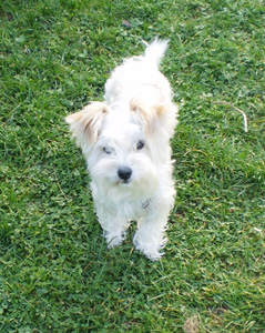 Charly