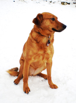 Lena