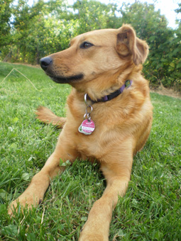 Lena